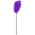 Стек с большим фиолетовым пером Large Feather Tickler - 65 см.