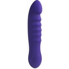  Фиолетовый вибратор LITTLE SECRET 16,5 см 