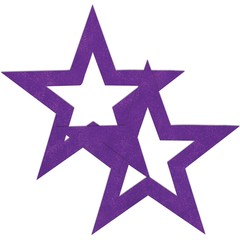  Фиолетовые пестисы-звёзды 