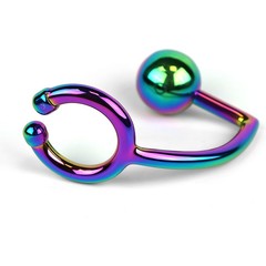  Радужное эрекционное кольцо с анальным плагом Rainbow Horse Shoe Ring with 40mm Diameter Ball 