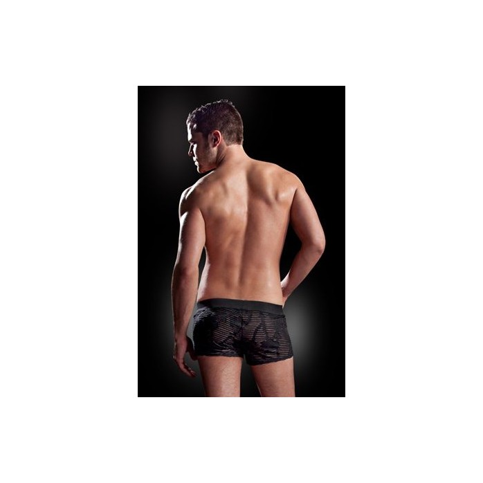 Ажурные боксеры с эластичным поясом - Fetish Fantasy Lingerie. Фотография 2.