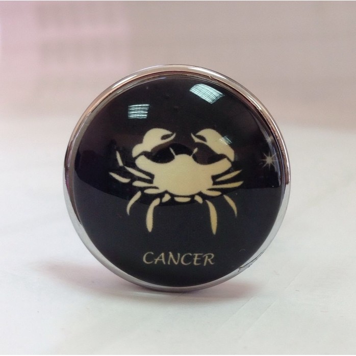 Серебристая анальная пробка со знаком зодиака - Рак. Фотография 3.