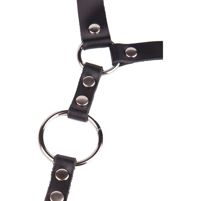 Кляп-кольцо на чёрных кожаных ремешках с застёжкой - BDSM accessories. Фотография 9.