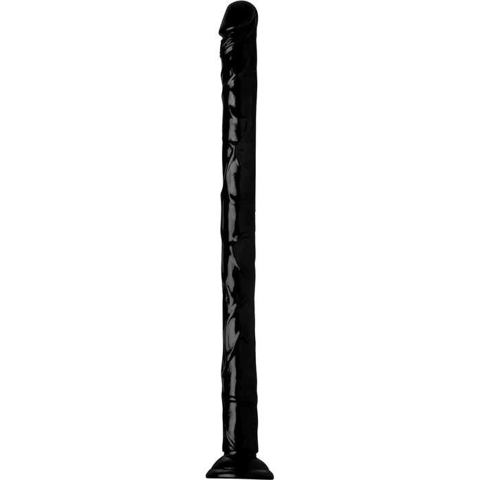 Черный анальный фаллоимитатор Hosed Realistic Anal Dildo - 50,8 см - Hosed. Фотография 2.
