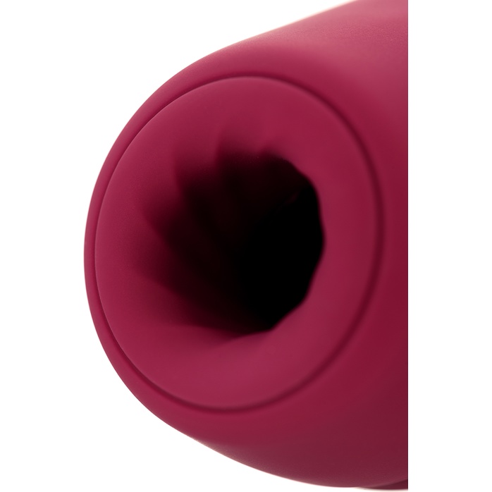 Бордовый вакуум-волновой стимулятор Satisfyer Curvy 1. Фотография 8.