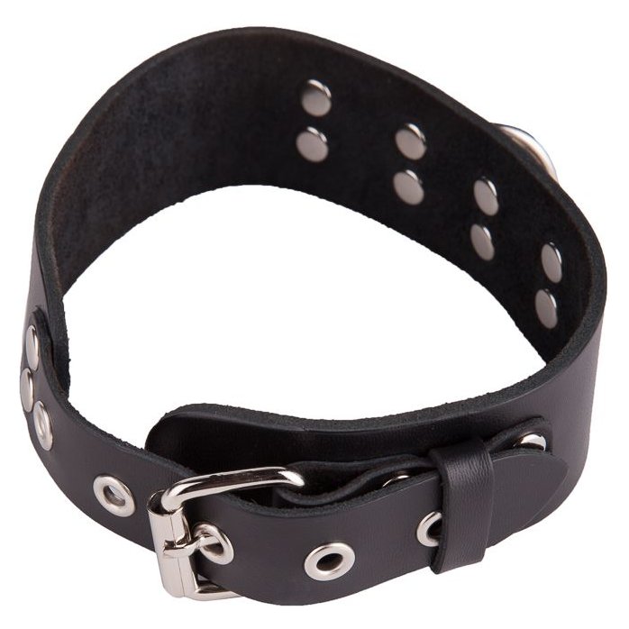Черный кожаный ошейник с кольцом и клепками - BDSM accessories. Фотография 5.