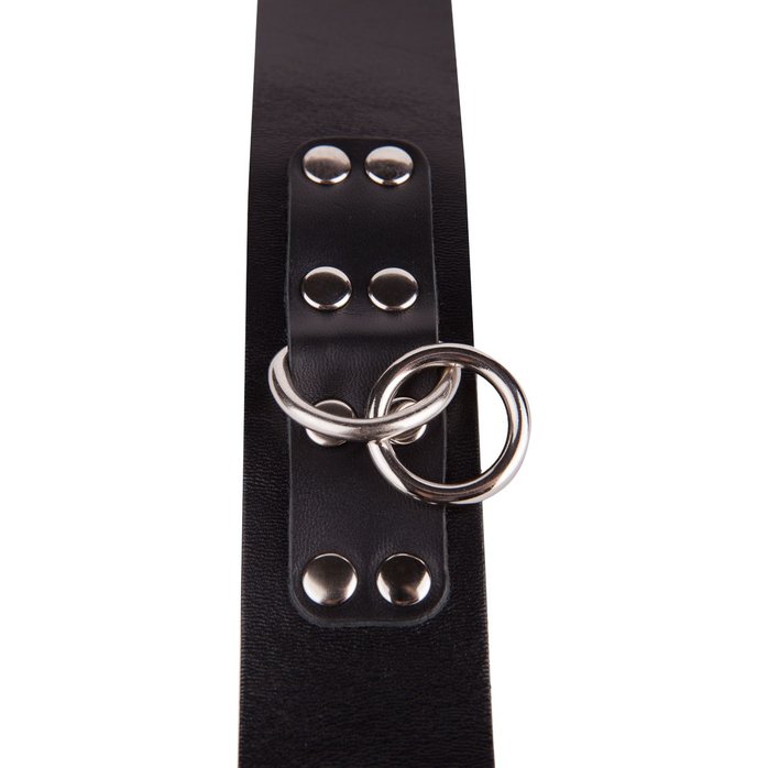 Черный кожаный ошейник с кольцом и клепками - BDSM accessories. Фотография 9.