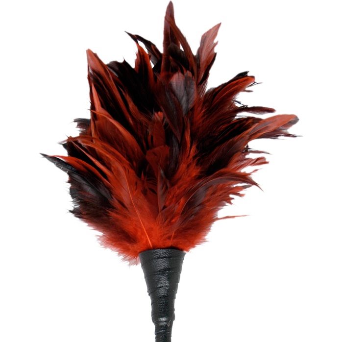 Кисточка с красно-чёрными пёрышками Frisky Feather Duster - 36 см - Fetish Fantasy Series. Фотография 2.