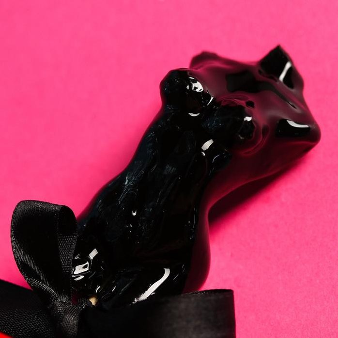 Леденец на палочке «Идеальная девушка» со вкусом черники - 65 гр - Фабрика страсти. Фотография 2.