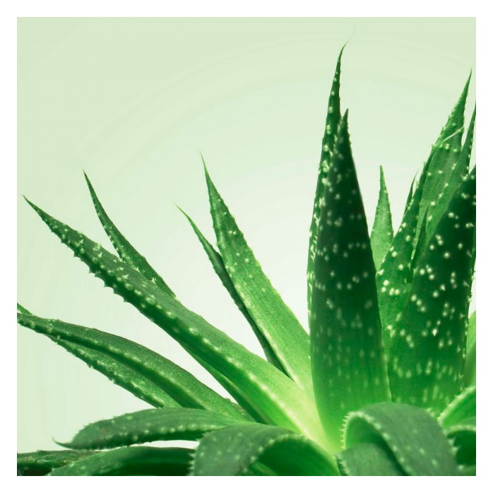 Массажный гель на водной основе Mixgliss NU Aloe Vera - 150 мл. Фотография 5.