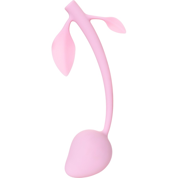 Розовый вагинальный шарик Aster. Фотография 5.