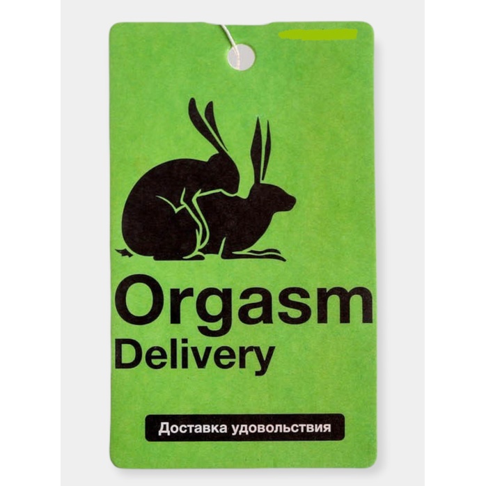 Ароматизатор в авто «Orgasm» с ароматом мужского парфюма. Фотография 2.