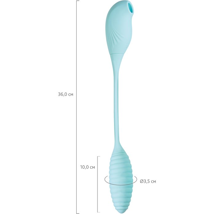 Голубое виброяйцо с вакуум-волновым стимулятором клитора Roow. Фотография 7.