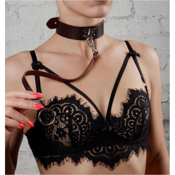 Коричневый ошейник с поводком «Новичок» - BDSM accessories