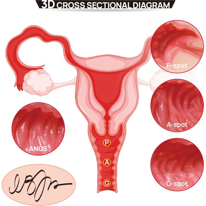 Мастурбатор-полуторс с двойным слоем материала и вибрацией Vanilla Onahole. Фотография 8.