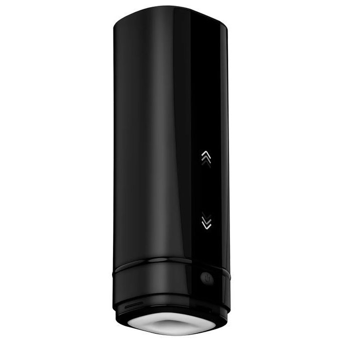 Набор для секса на расстоянии: Kiiroo Onyx и Kiiroo Pearl 2. Фотография 3.