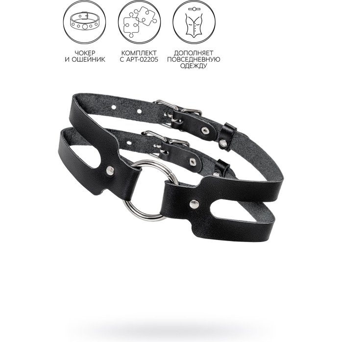 Черный кожаный чокер-ошейник из двух ремешков