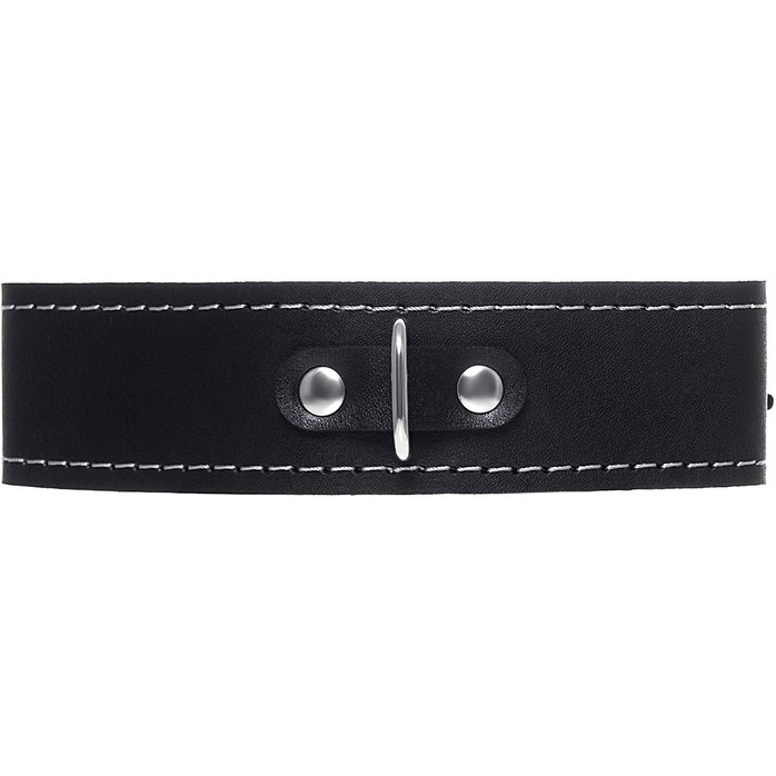 Кожаный двухслойный ошейник с белой строчкой и поводком. Фотография 3.