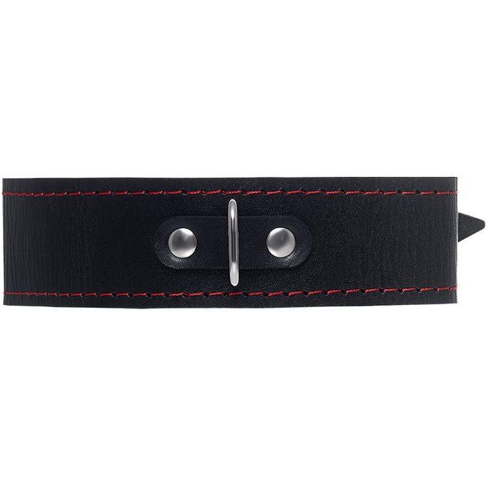 Кожаный двухслойный ошейник с красной строчкой и поводком. Фотография 3.