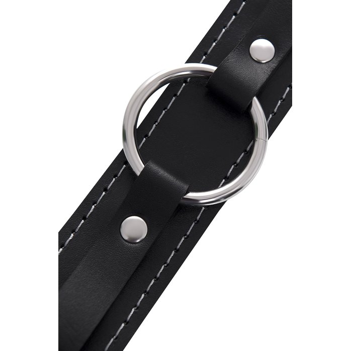 Кожаный ошейник-чокер с поводком. Фотография 7.