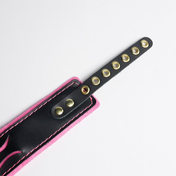 Черно-розовый ошейник с золотистой фурнитурой. Фотография 3.