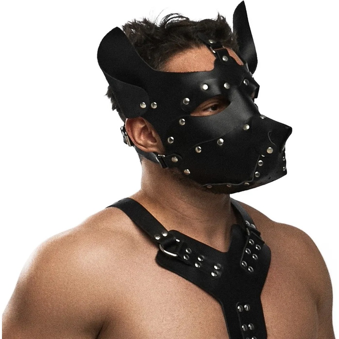 Черная кожаная маска «Собака». Фотография 4.
