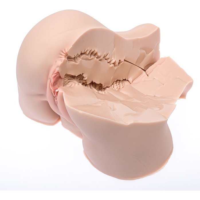 Мастурбатор-полуторс Naked Factory Nicole. Фотография 3.