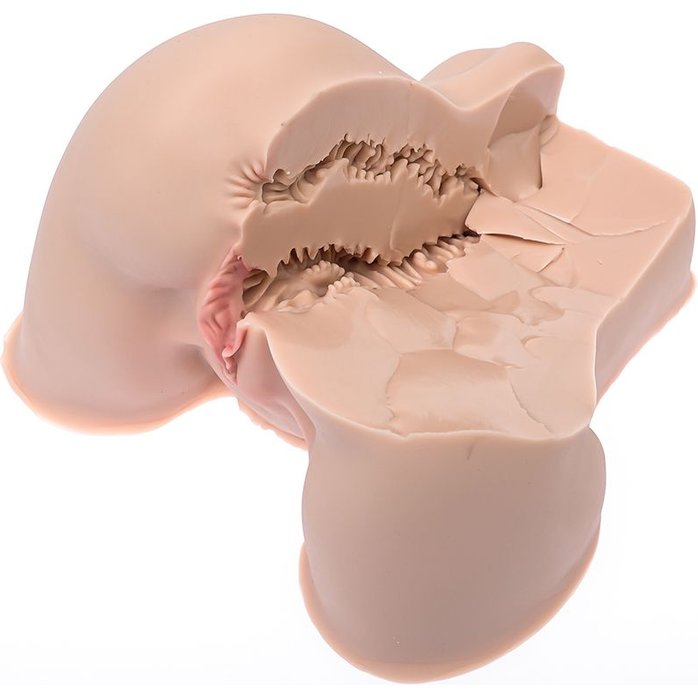 Мастурбатор-полуторс Naked Factory Kate. Фотография 2.