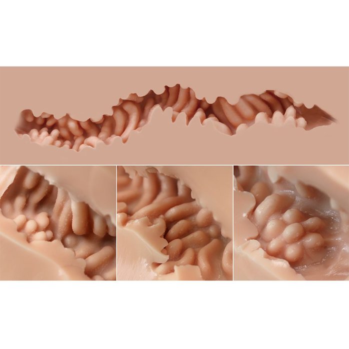 Мастурбатор-полуторс Naked Factory Hannah. Фотография 4.