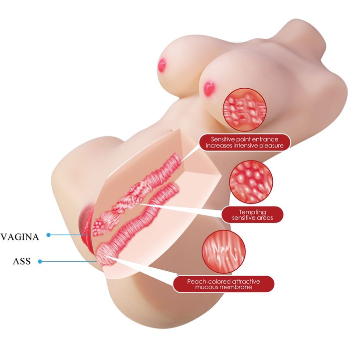 Мастурбатор-торс Aveline с 2 любовными тоннелями - Crazy Bull. Фотография 7.