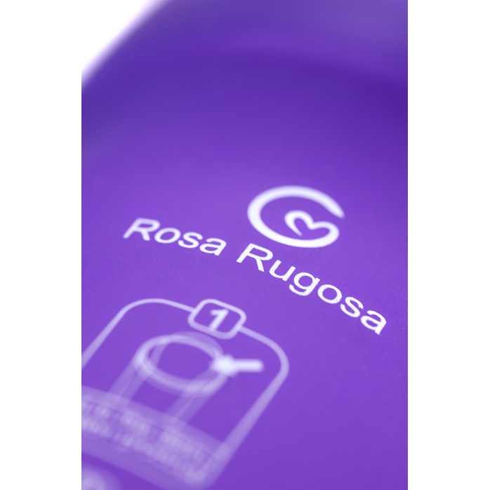 Контейнер для обработки Rosa Rugosa Mini Bar. Фотография 12.