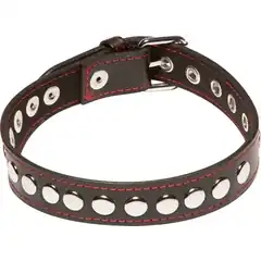  Проклёпанный ошейник X-Play Riveted Collar 