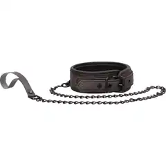  Серый широкий ошейник с поводком Elegant Collar with Leash 