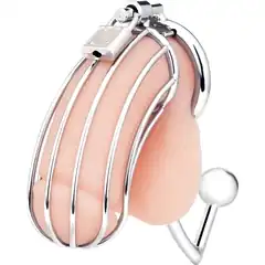  Серебристая металлическая клетка с анальным стимулятором Cock Cage 
