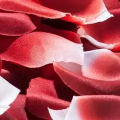  Лепестки роз с запахом 