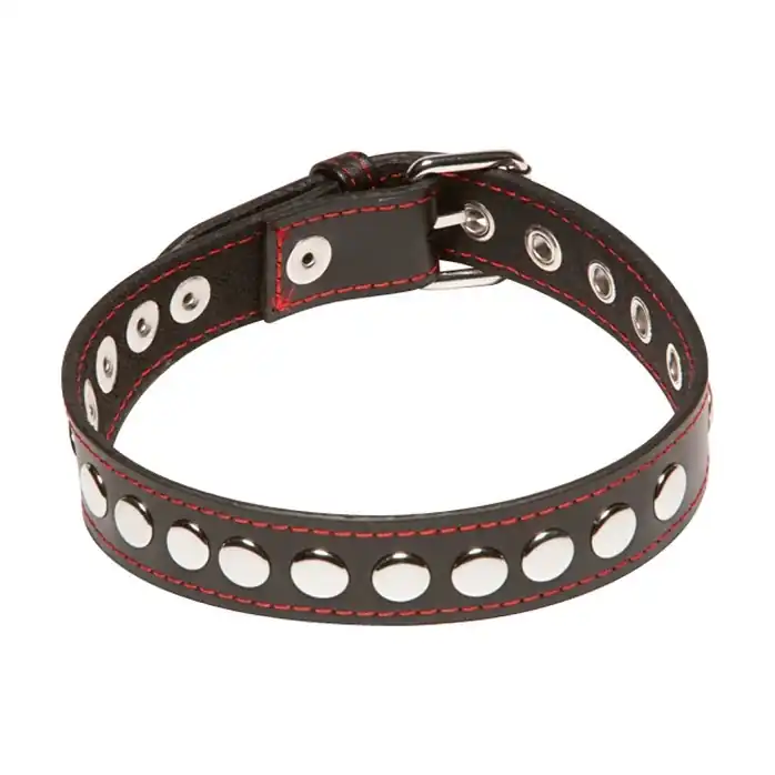 Проклёпанный ошейник X-Play Riveted Collar - X-Play