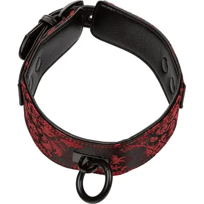 Атласный ошейник с цепью Scandal Collar with Leash - Scandal. Фотография 3.