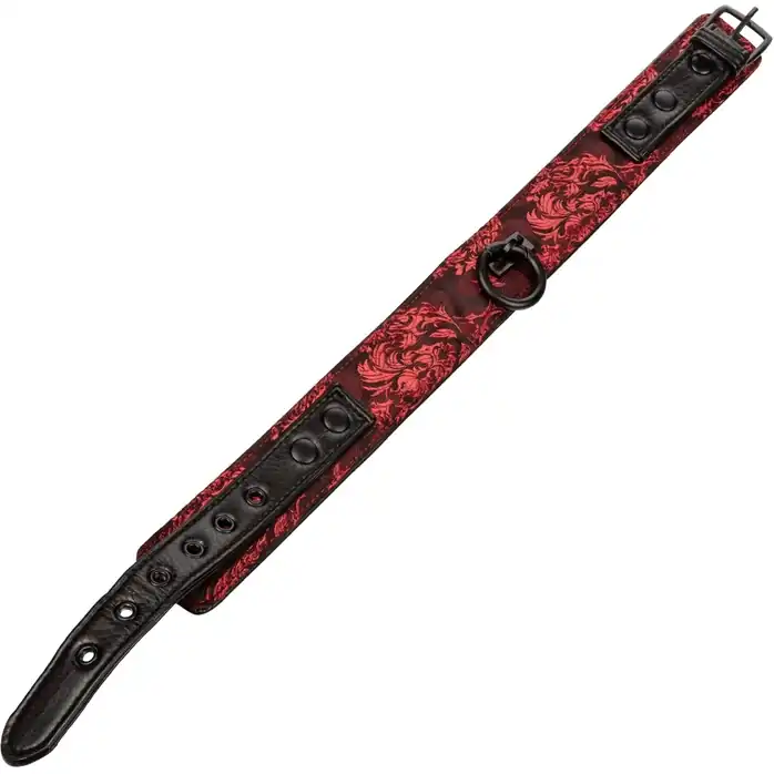 Атласный ошейник с цепью Scandal Collar with Leash - Scandal. Фотография 5.