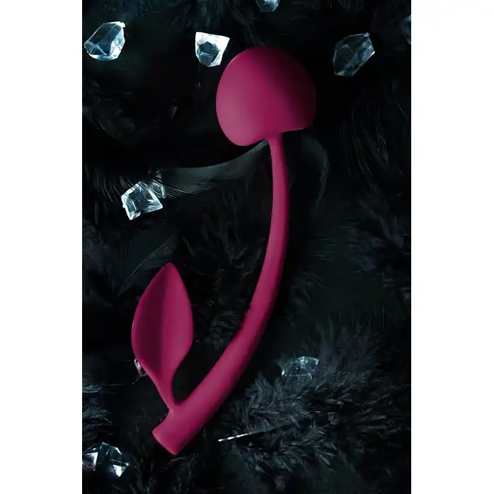 Бордовая вагинальная вишенка WILD CHERRY - 13 см. Фотография 7.