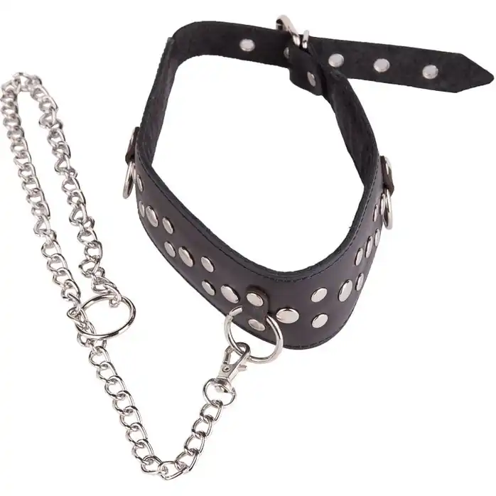 Чёрный кожаный ошейник с карабином и поводком - BDSM accessories. Фотография 3.