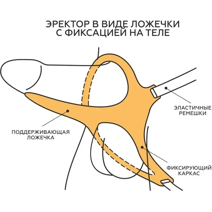 Телесный эректор-ложечка с фиксацией на ремешках MEN STYLE. Фотография 6.