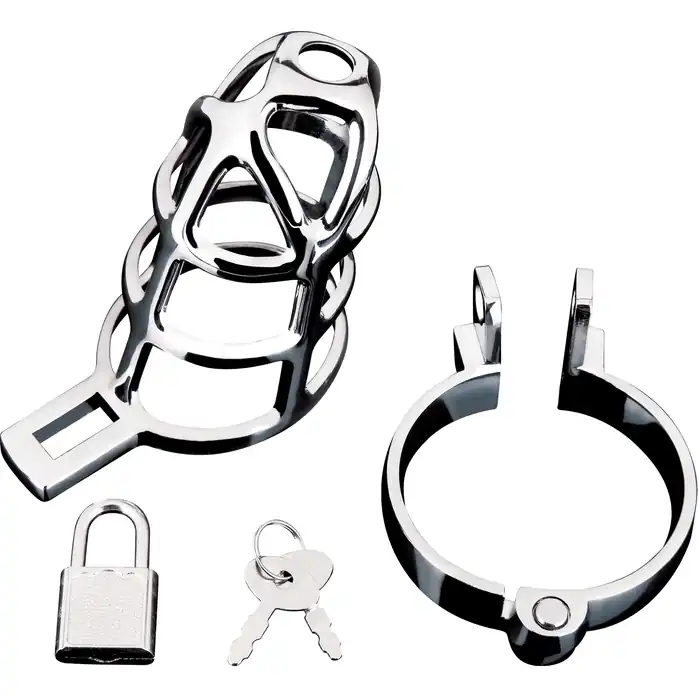 Серебристая металлическая клетка для члена с замком Enslave Cock Cage. Фотография 4.