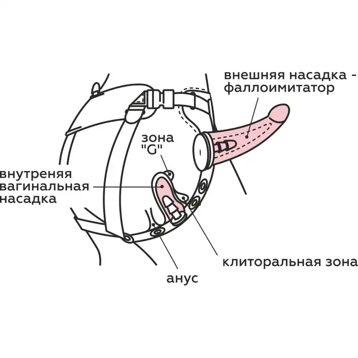 Женский пояс-трусики c 2 насадками. Фотография 4.