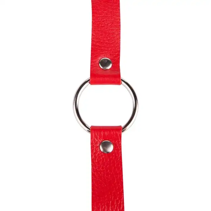 Кляп-кольцо на красных ремешках - BDSM accessories. Фотография 3.
