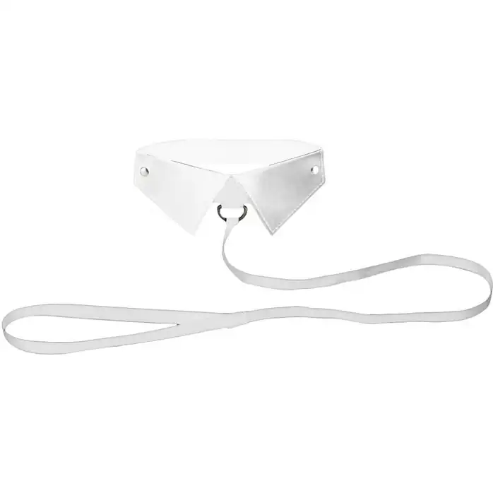 Белый кожаный воротник с поводком White OUCH! - Ouch!